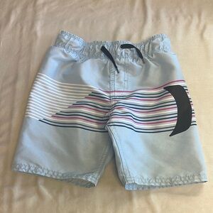Hurley - Blue and Black Beach Shorts